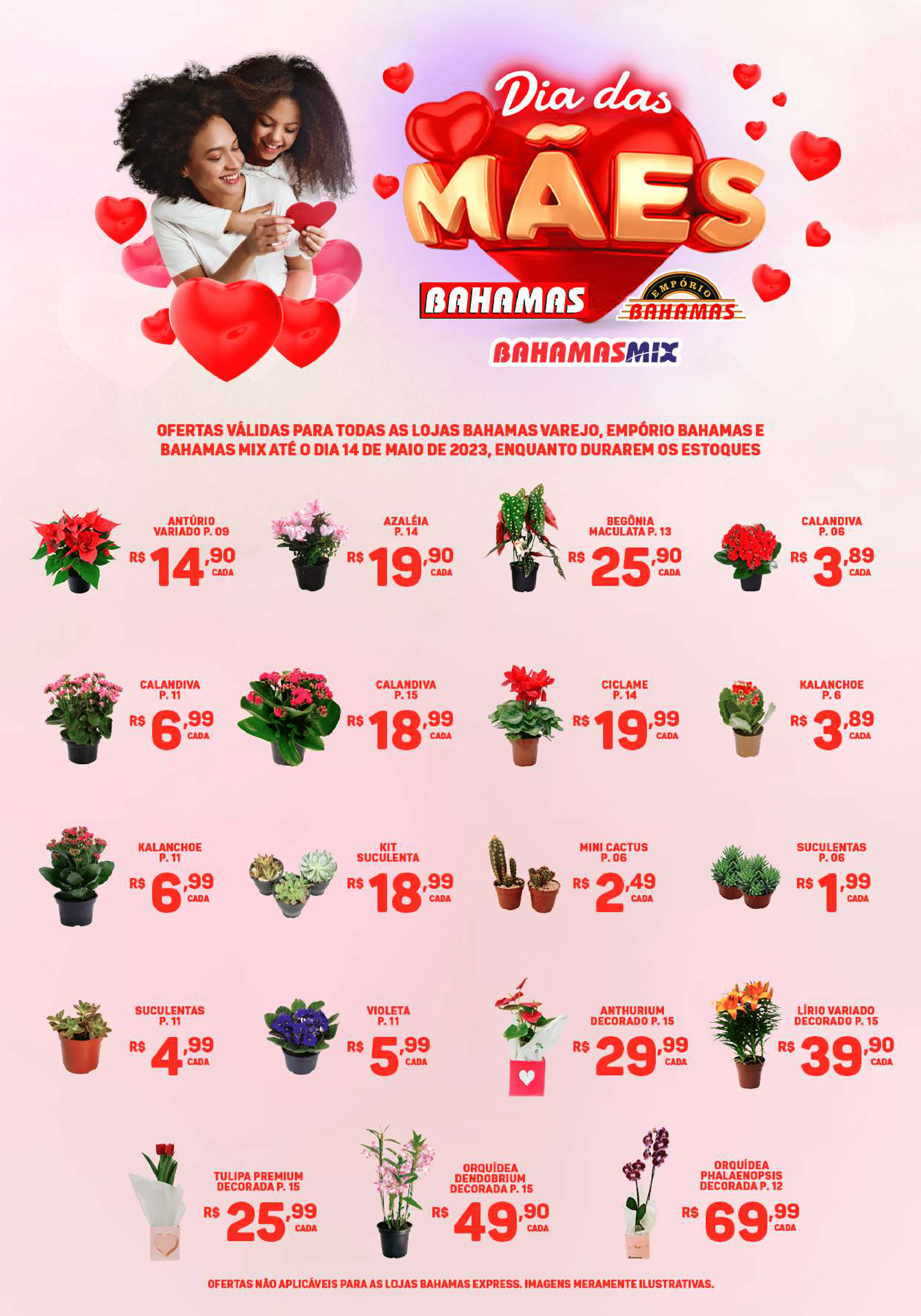 flores-dia-das-maes 12-05 A 14-05