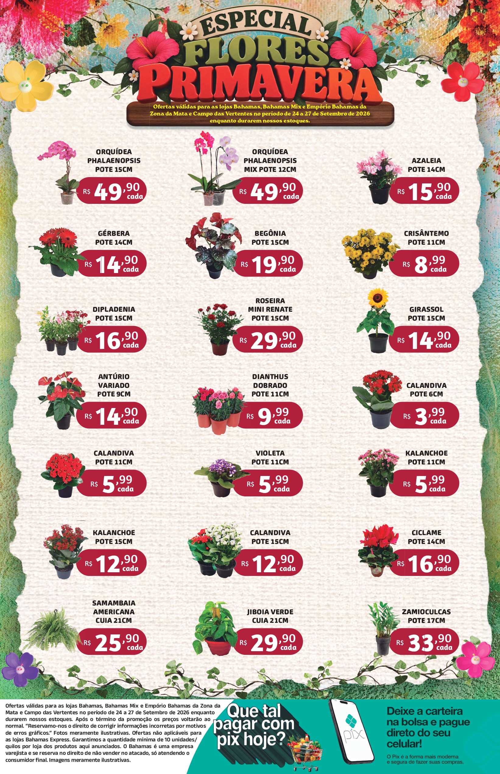 FLORES PRIMAVERA.indd